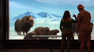 Museum Without Borders 2